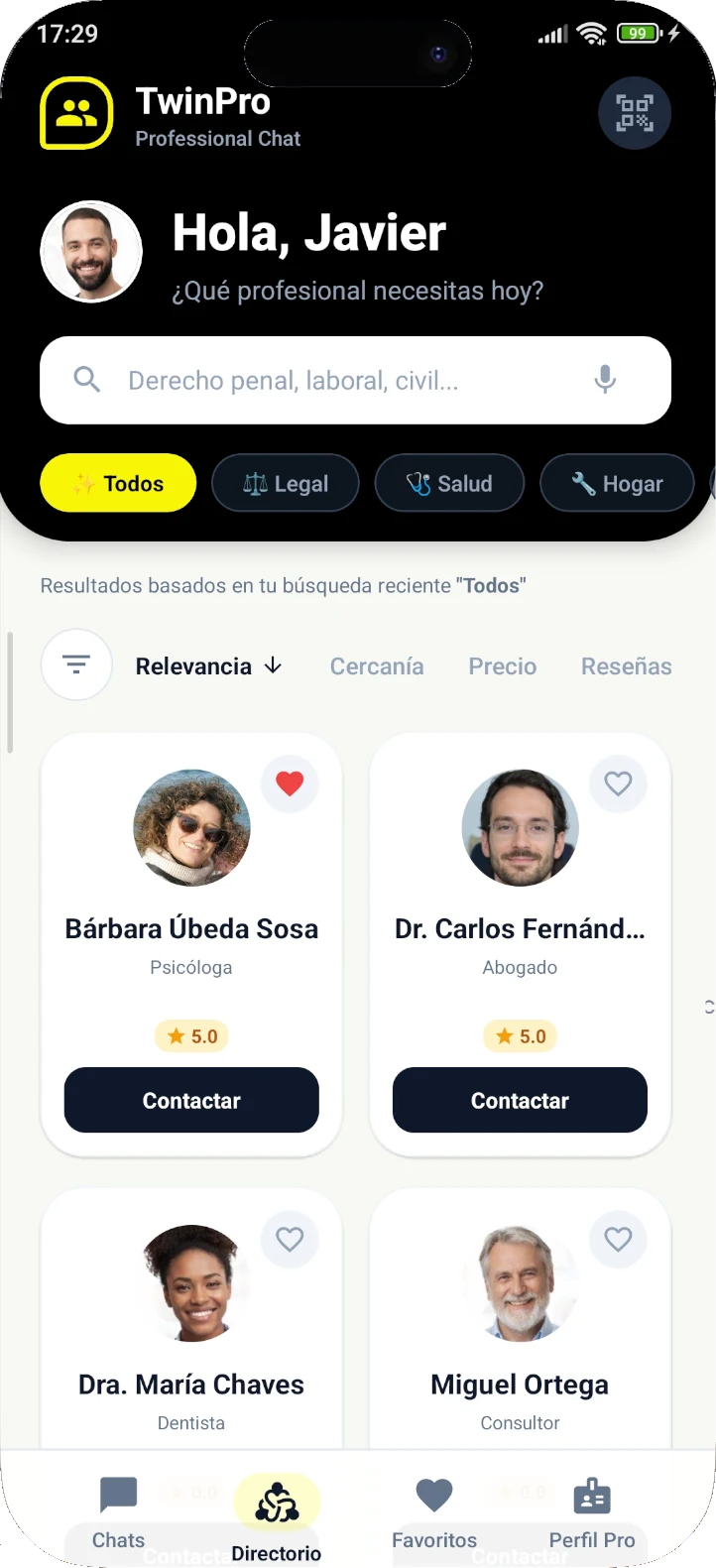 TwinPro professional directory showing searchable listings of verified professionals across legal, health, and home service categories.